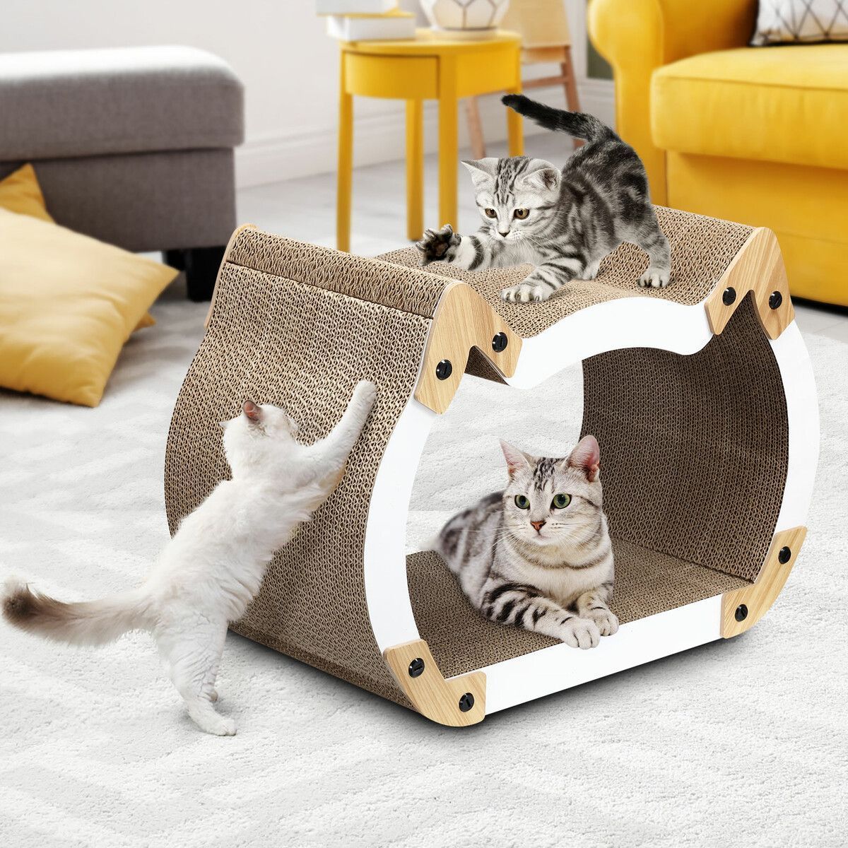https://img.bestdeals.co.nz/products_pictures/496/49690_462444_F.jpg