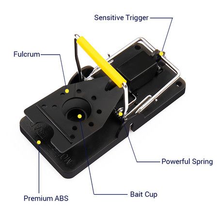 https://img.bestdeals.co.nz/products_pictures/497/49722_462879_F.jpg