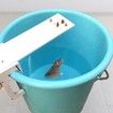 DIY Home Garden Pest Controller Mousetrap Quick Kill Seesaw Mouse Catcher Bait House