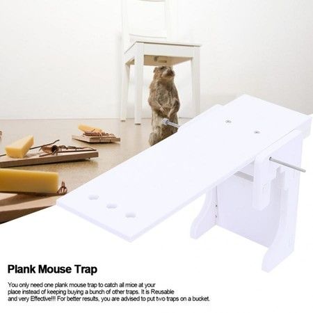https://img.bestdeals.co.nz/products_pictures/497/49723_462885_F.jpg