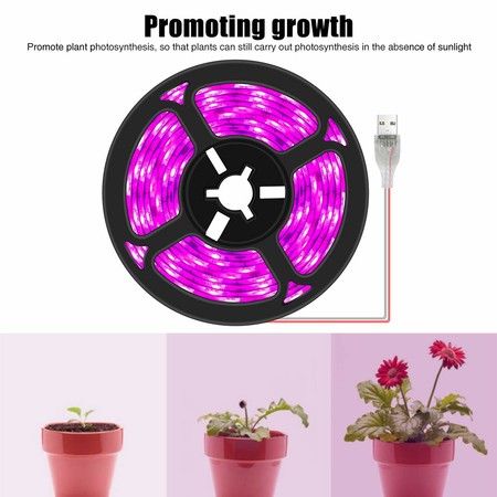 https://img.bestdeals.co.nz/products_pictures/497/49799_463818_F.jpg