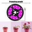3M LED Plant Grow Light Strips,Waterproof Full Spectrum Growing Lamp for Indoor Plants Succulents Hydroponics Greenhouse Gardening USB Bars