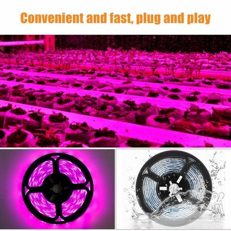https://img.bestdeals.co.nz/products_pictures/497/49799_463819_F.jpg