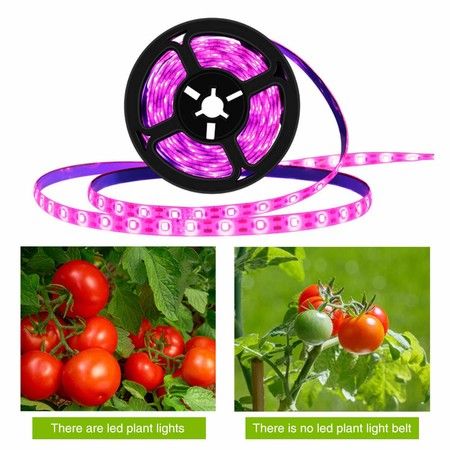 https://img.bestdeals.co.nz/products_pictures/497/49799_463820_F.jpg