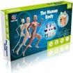 Toys Interactive Human Body Model, Learning Kit for Kids Education Display