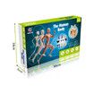 Toys Interactive Human Body Model, Learning Kit for Kids Education Display