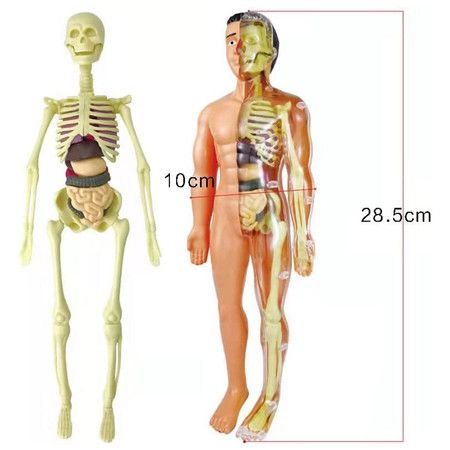 https://img.bestdeals.co.nz/products_pictures/499/49960_465702_F.jpg