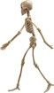 Halloween Decorations Realistic 16-Inch Faux Human Skeleton Skull Props for Haunted House Display