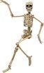 Halloween Decorations Realistic 16-Inch Faux Human Skeleton Skull Props for Haunted House Display