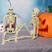 Halloween Decorations Realistic 16-Inch Faux Human Skeleton Skull Props for Haunted House Display