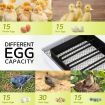 Petscene 15 Eggs Incubator Automatic Egg Hatcher Hatching Breeder with Turner Temperature Control