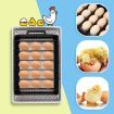 Petscene 15 Eggs Incubator Automatic Egg Hatcher Hatching Breeder with Turner Temperature Control