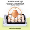 Petscene 15 Eggs Incubator Automatic Egg Hatcher Hatching Breeder with Turner Temperature Control