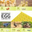 Petscene 36 Eggs Automatic Incubator Hatching Hatcher Machine Egg Turning LED Display with Four-Leaf Clover-Shaped Tray