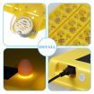 Petscene 36 Eggs Automatic Incubator Hatching Hatcher Machine Egg Turning LED Display with Four-Leaf Clover-Shaped Tray