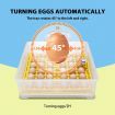 Petscene 36 Eggs Automatic Incubator Hatching Hatcher Machine Egg Turning LED Display with Four-Leaf Clover-Shaped Tray