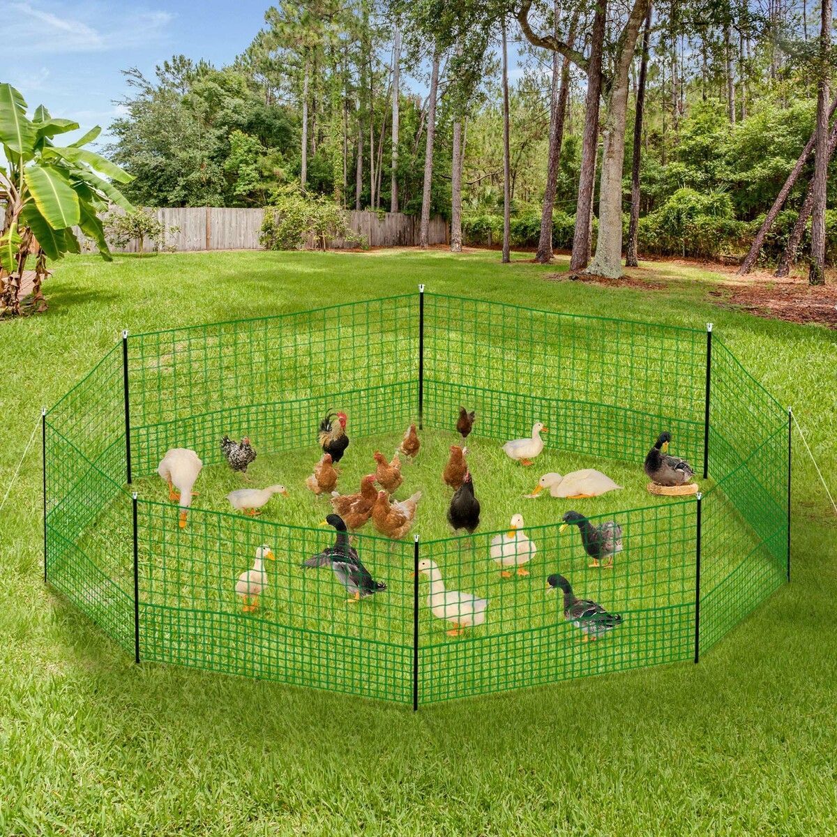https://img.bestdeals.co.nz/products_pictures/502/50296_469408_F.jpg