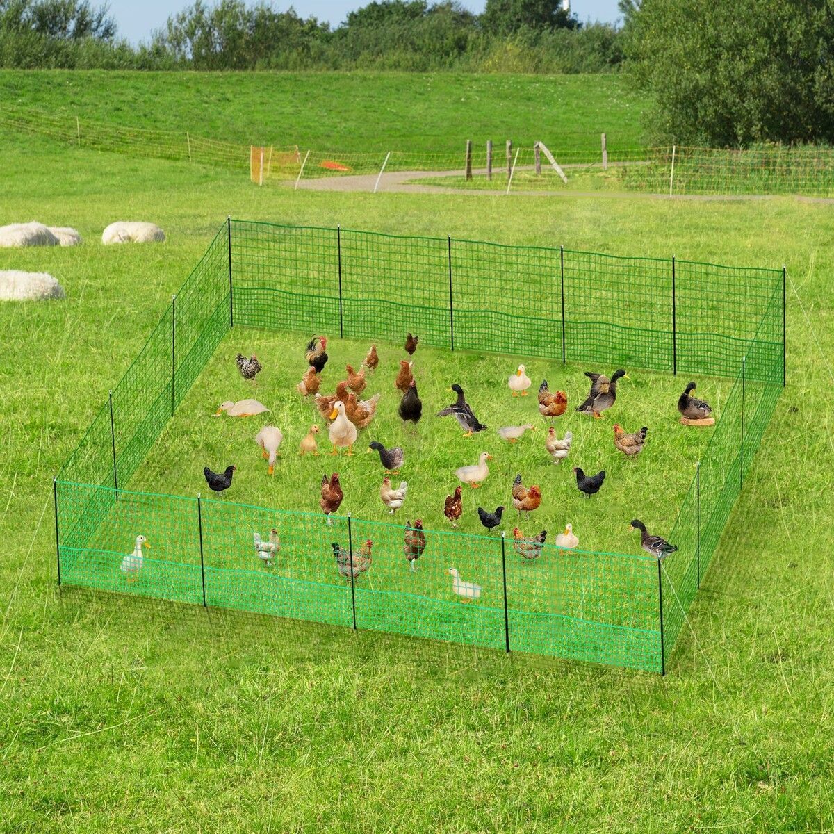 https://img.bestdeals.co.nz/products_pictures/502/50298_469432_F.jpg