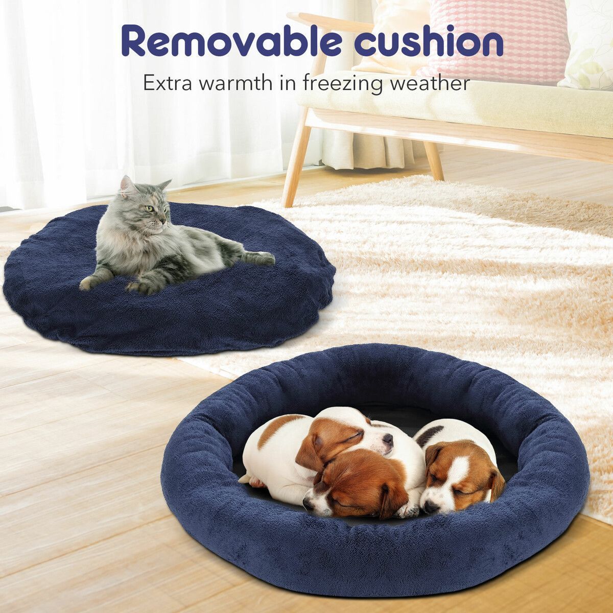 https://img.bestdeals.co.nz/products_pictures/503/50312_469617_F.jpg