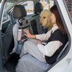 Pets Car Dog Cover Back Seat - Dog Car Hammock For Car/Truck/SUV Nonslip Rubber Back Washable Luxury Material