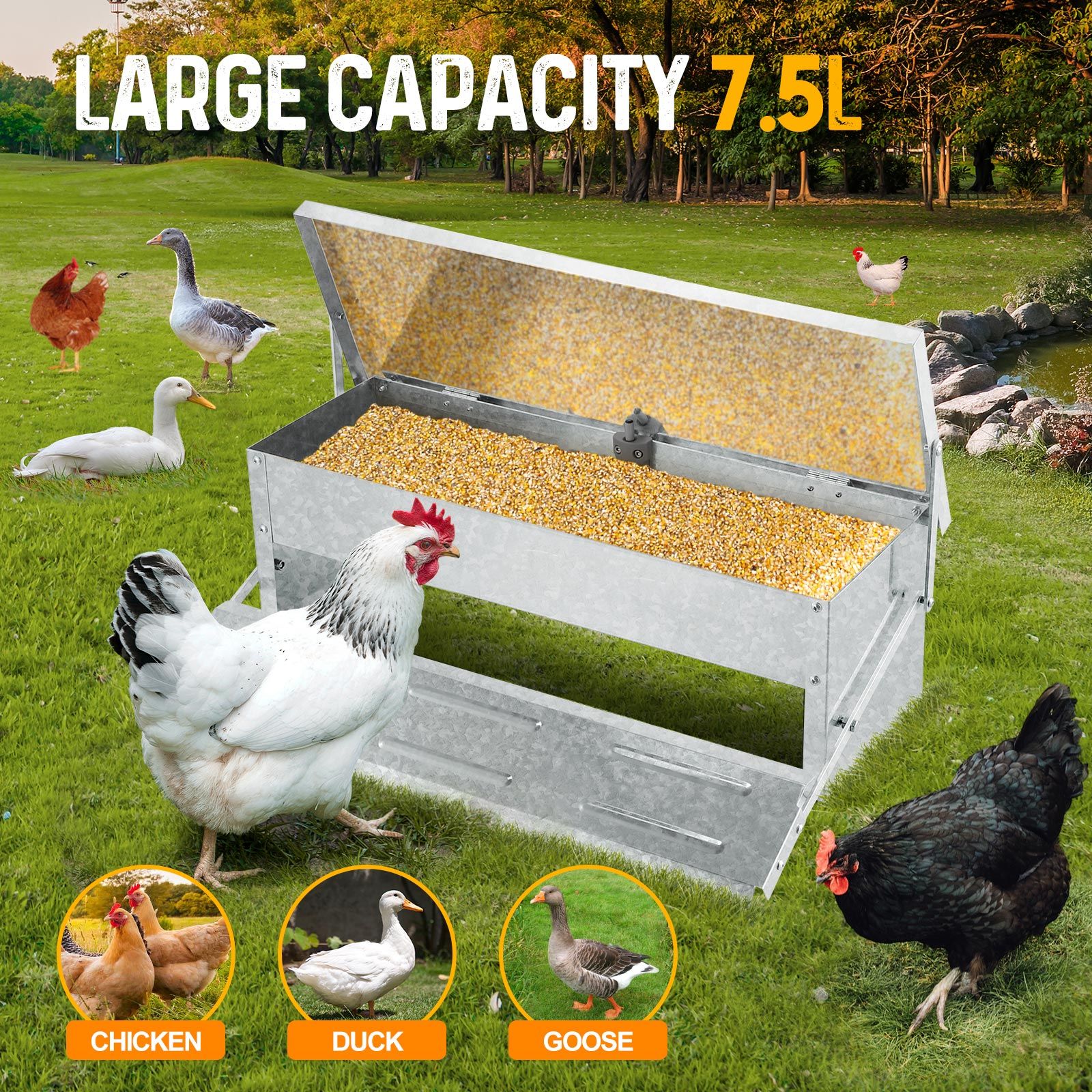 Chicken Feeder Auto Poultry Feeding Equipment Rat Bird Proof Waterproof