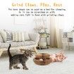 Magic Organ Cat Scratching Board Foldable Convenient Cat Scratcher Durable Recyclable Comes with a Toy Bell Ball