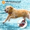Bark Collar for Dogs,Dog Bark Collar,Rechargeable Anti Barking Training Collar with Effective Beep Vibration Safe Shock for Small Medium Large Dogs - Waterproof Red