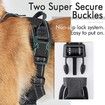 Dog Harness,No-Pull Pet Harness with 2 Leash Clips,Adjustable Soft Padded Dog Vest,Reflective Outdoor Pet Oxford Vest with Easy Control Handle,Small Size,Black