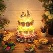 Cupcake Stand 4 Tier Round Acrylic cake Display Stand with LED String Lights Dessert Pastry Tower for Wedding Birthday Party 4mm Thick