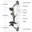 Compound Bow Arrow Set Archery Sports Hunting Target Shooting RH 20-70lbs Adjustable 320fps Speed for Beginner Master Camo