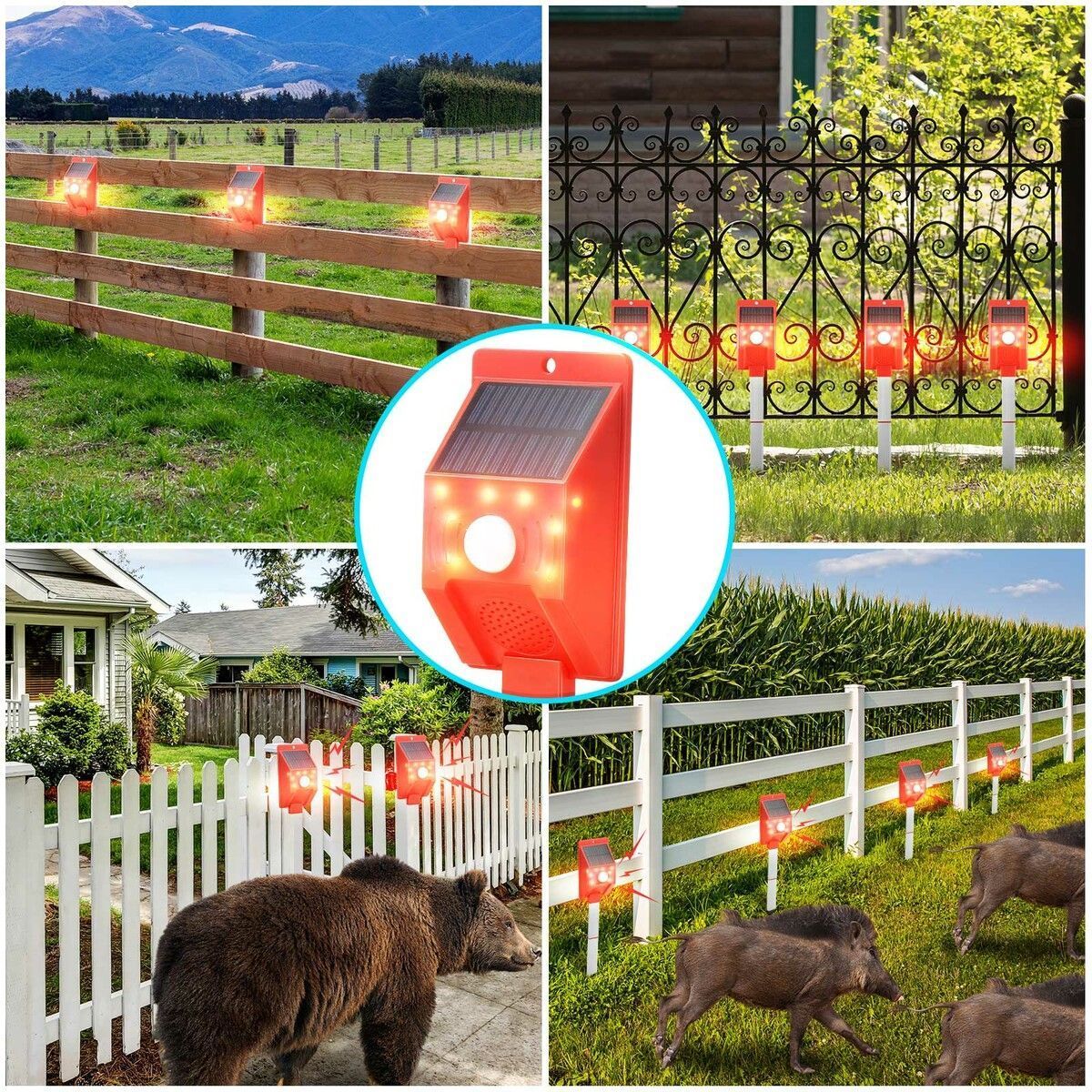 https://img.bestdeals.co.nz/products_pictures/514/51482_482916_F.jpg