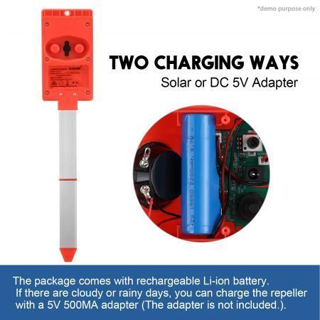https://img.bestdeals.co.nz/products_pictures/514/51482_482919_F.jpg