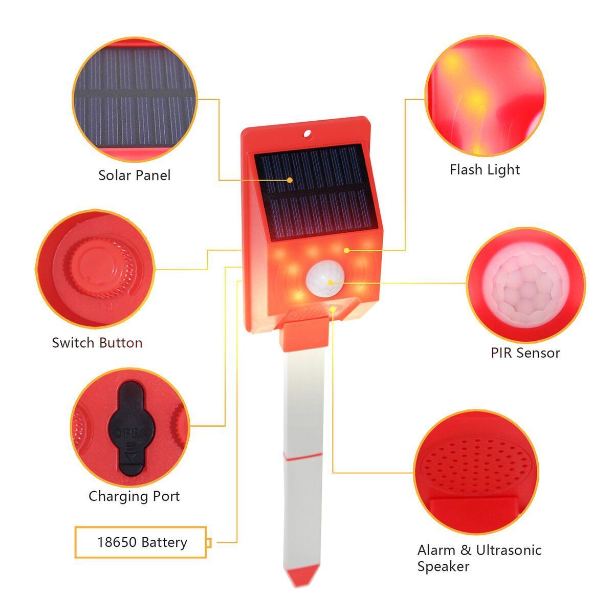 https://img.bestdeals.co.nz/products_pictures/514/51482_482920_F.jpg