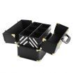 Professional Make Up Cosmetic Beauty Case - Black & Gold