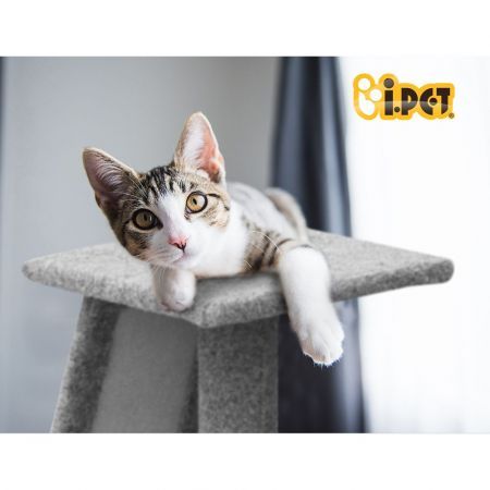 https://img.bestdeals.co.nz/products_pictures/515/51572_483773_F.jpg