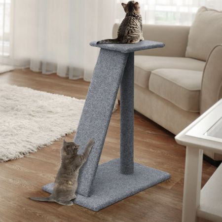 https://img.bestdeals.co.nz/products_pictures/515/51572_483776_F.jpg