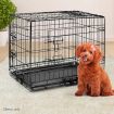 i.Pet Dog Cage 24inch Pet Cage - Black