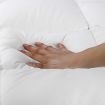 Giselle Single Mattress Topper Bamboo Fibre Pillowtop Protector