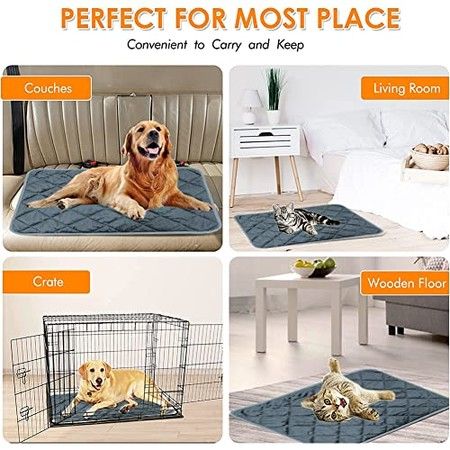https://img.bestdeals.co.nz/products_pictures/517/51738_485082_F.jpg