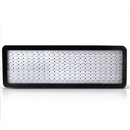 https://img.bestdeals.co.nz/products_pictures/519/51955_487058_F.jpg
