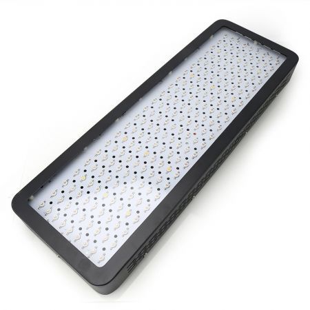 https://img.bestdeals.co.nz/products_pictures/519/51955_487059_F.jpg