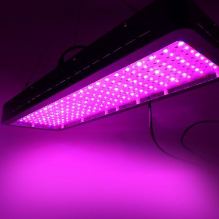 https://img.bestdeals.co.nz/products_pictures/519/51955_487061_F.jpg