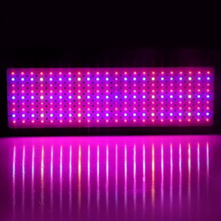 https://img.bestdeals.co.nz/products_pictures/519/51955_487062_F.jpg