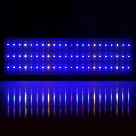 https://img.bestdeals.co.nz/products_pictures/519/51955_487064_F.jpg