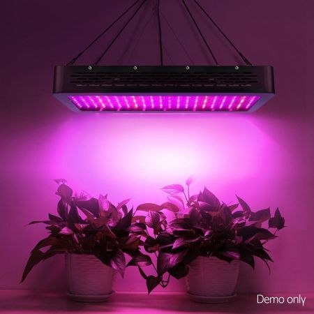 https://img.bestdeals.co.nz/products_pictures/519/51955_487065_F.jpg
