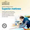 Giselle Bedding Normay Bonnell Spring Mattress 21cm Thick -Single