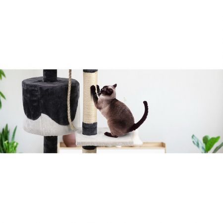 https://img.bestdeals.co.nz/products_pictures/520/52081_494341_F.jpg