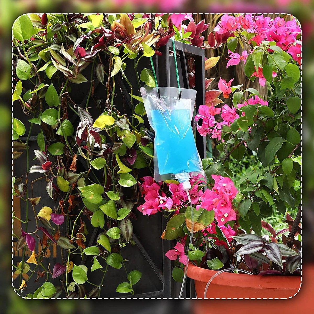 https://img.bestdeals.co.nz/products_pictures/522/52225_488927_F.jpg