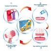 Original Patented 69 Holes Bazooka Bubble Gun|Rocket Boom Bubble Blower|Giant Toddler Outdoor Toys for Kids Ages 4-8 Best Gifts (Pink)