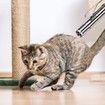 Laser Pointer,Cat Toys,Kitten Dog Laser Pen Toy,Red Dot LED Light Pointer Interactive Toys,USB Charging,5 Switchable Patterns